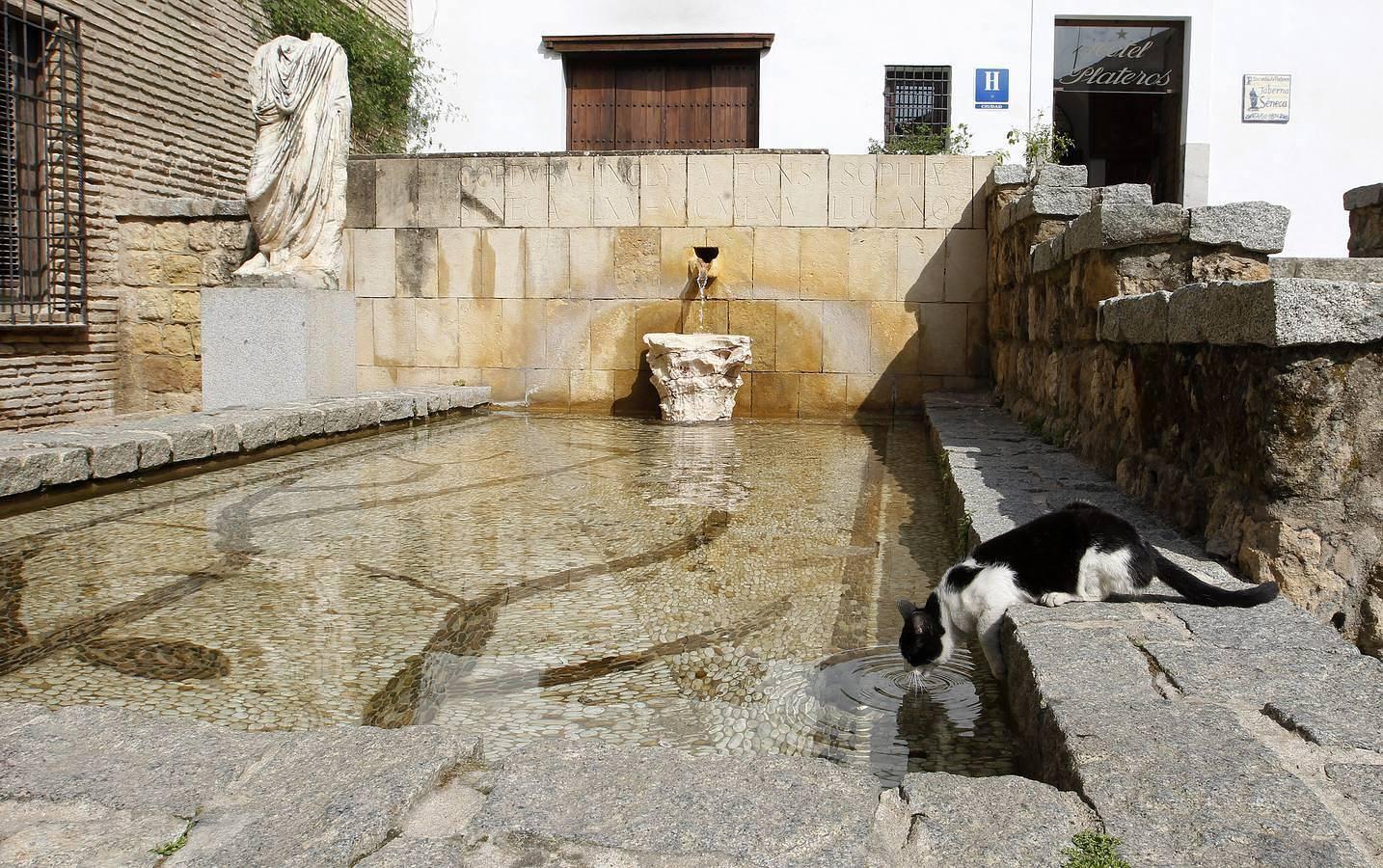 Rincones para no perderse en Córdoba en el Día de las Ciudades