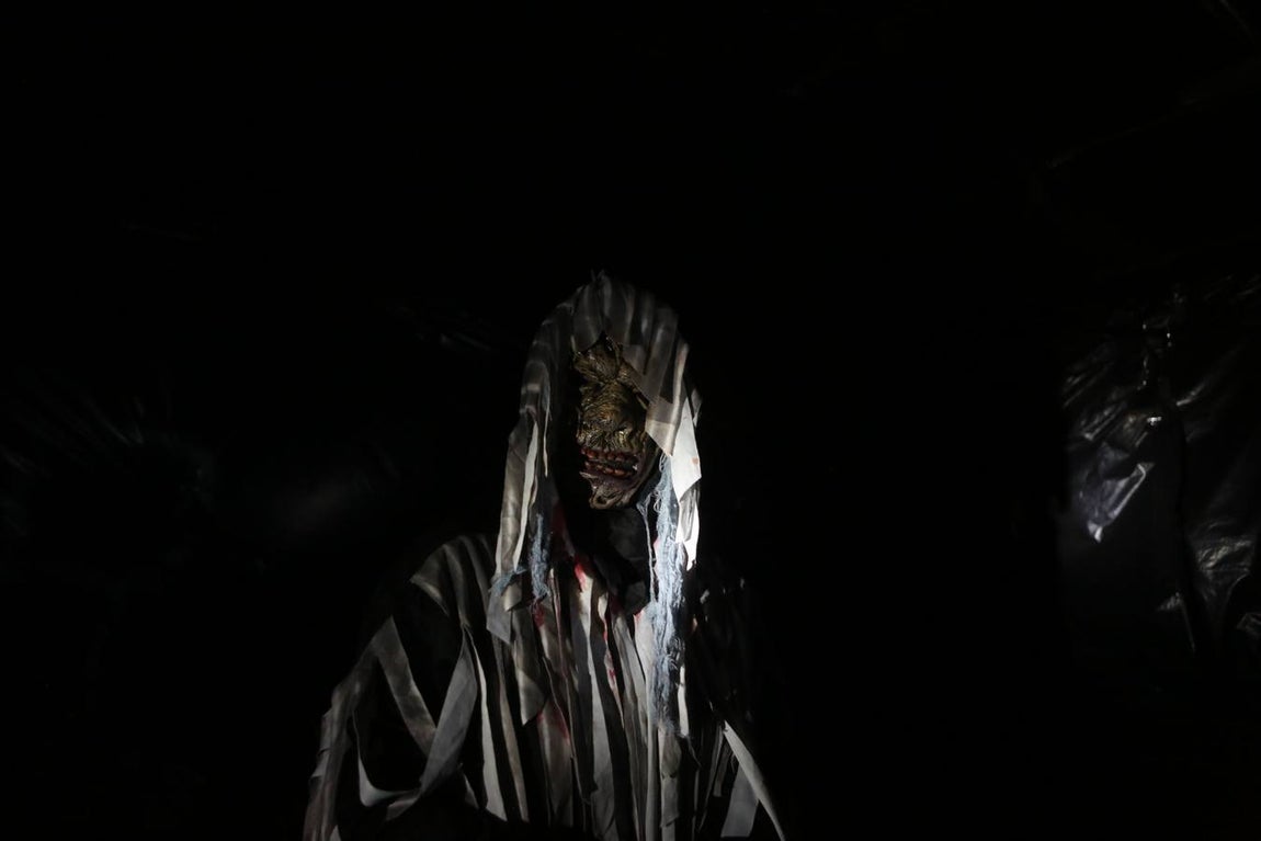 Fotos: El terror de apodera de Cádiz