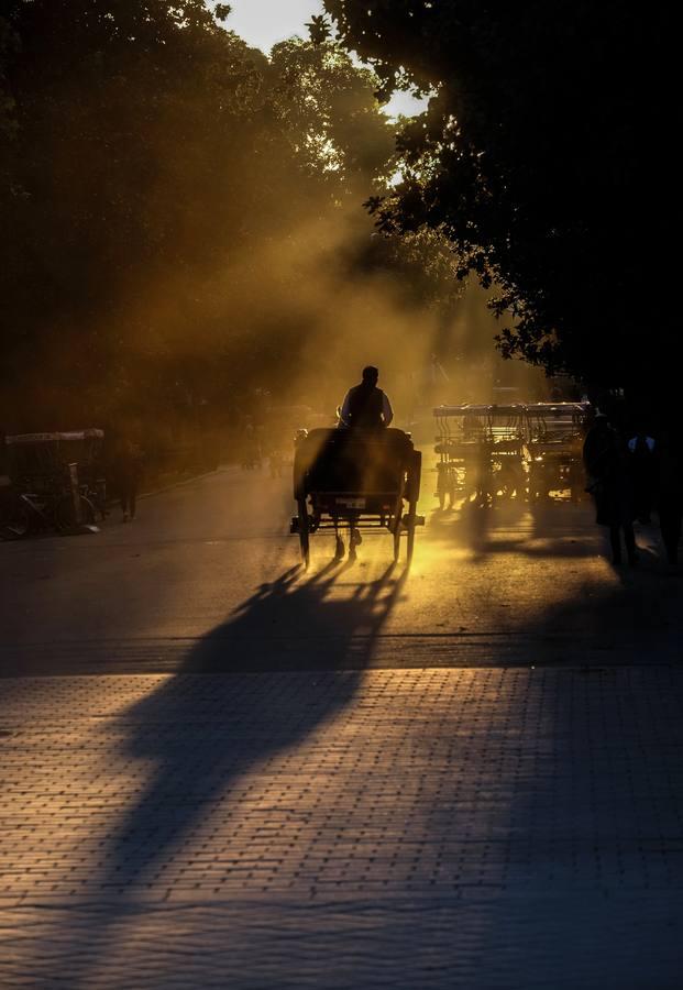 La Sevilla escondida del otoño, según Serrano