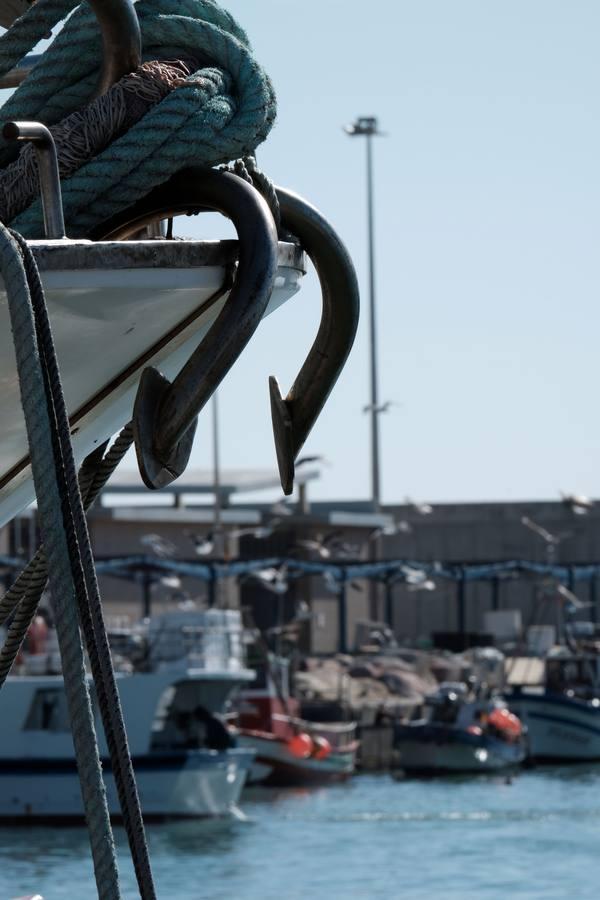 Barbate, una vida dedicada a la pesca del atún