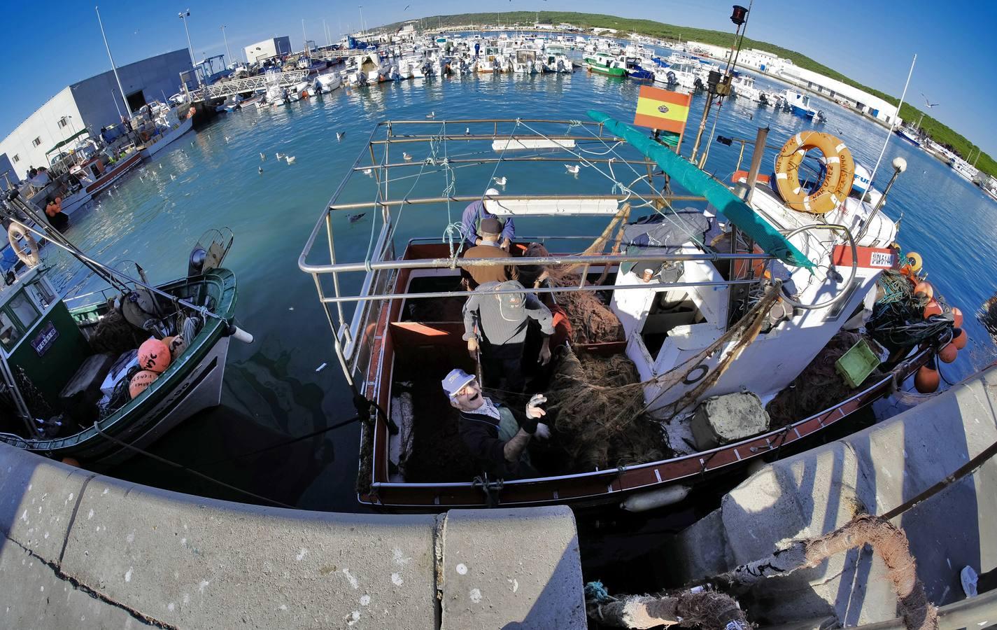 Barbate, una vida dedicada a la pesca del atún