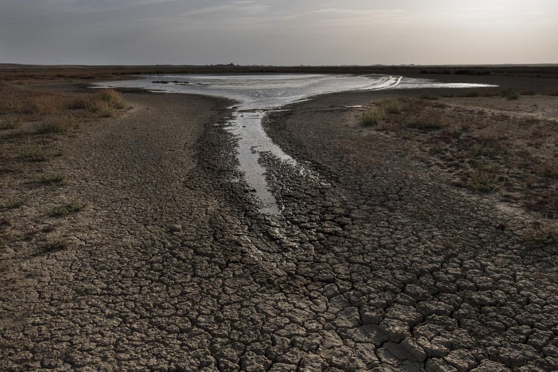 Lagunas de Villafáfila. Zamora.. 