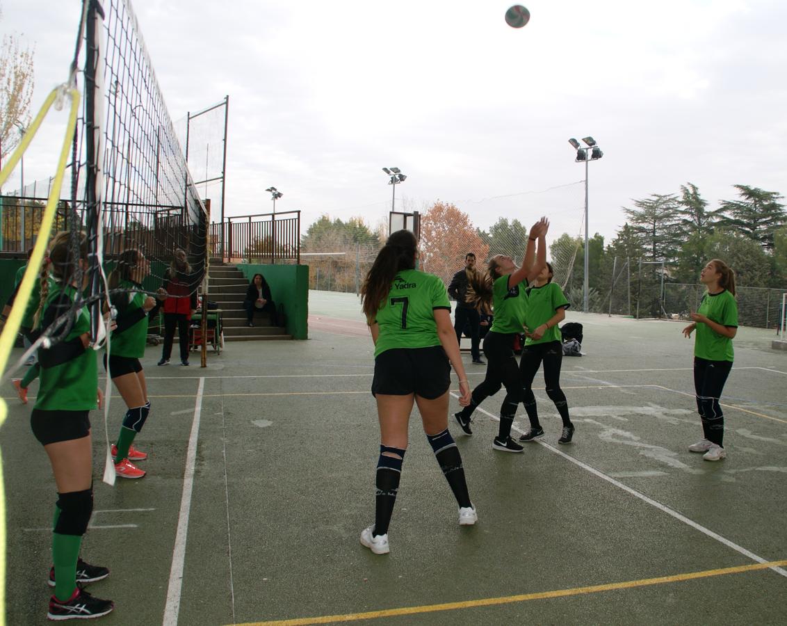 Las mejores imágenes del partido de voleibol juvenil femenino entre BVM Irlandesas y Valdefuentes