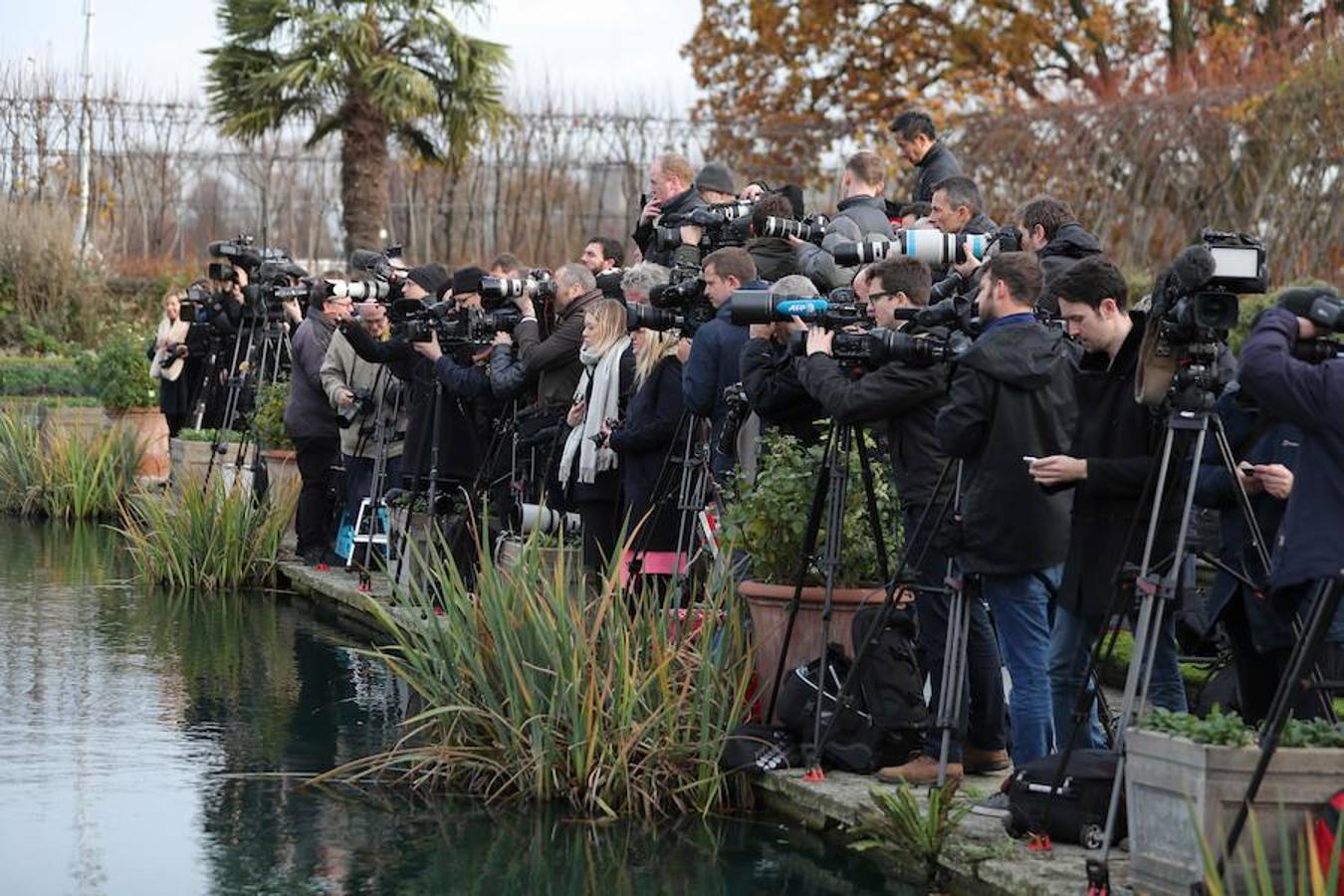 Periodistas de medios británicos y extranjeros esperaban a la pareja en los jardines.. 