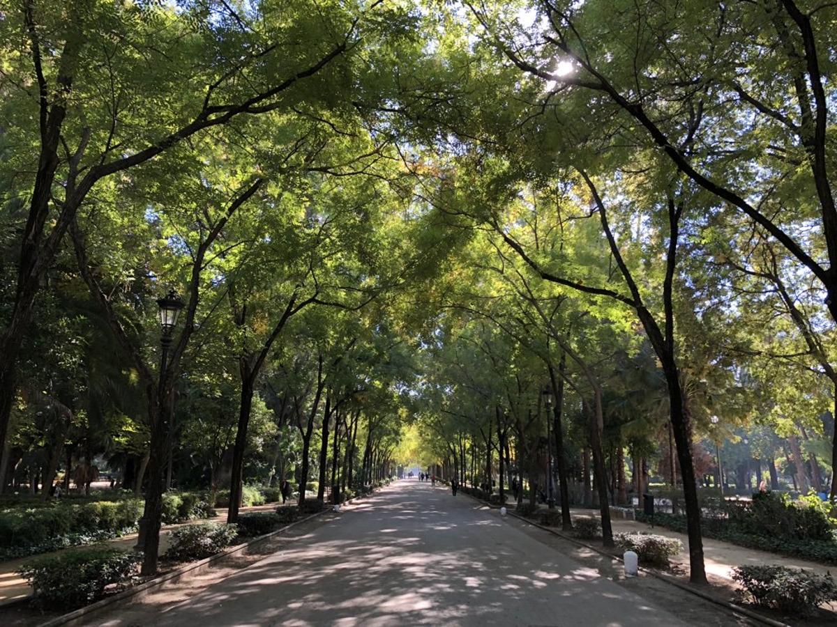 El otoño de Sevilla, según los lectores de ABC