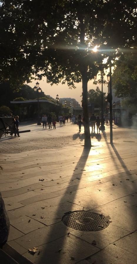 El otoño de Sevilla, según los lectores de ABC