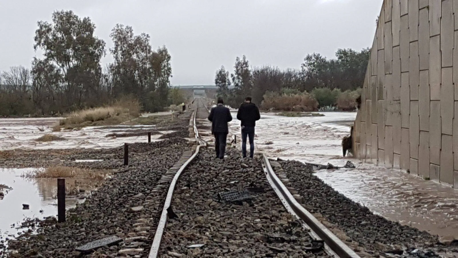 El accidente del tren Málaga-Sevilla en Arahal, en imágenes