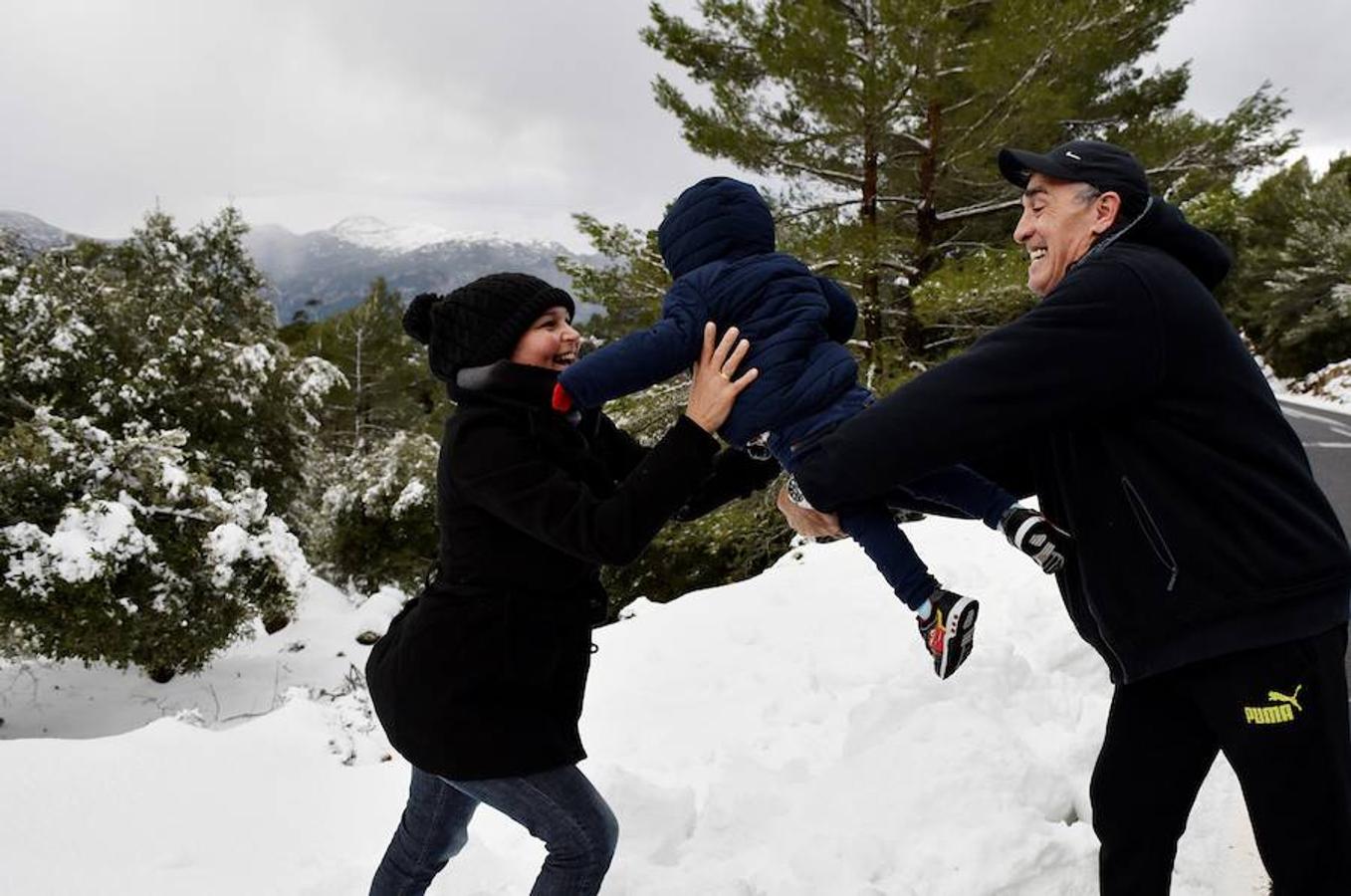 También la Sierra de Tramontana se ha cubierto por la nieve. 