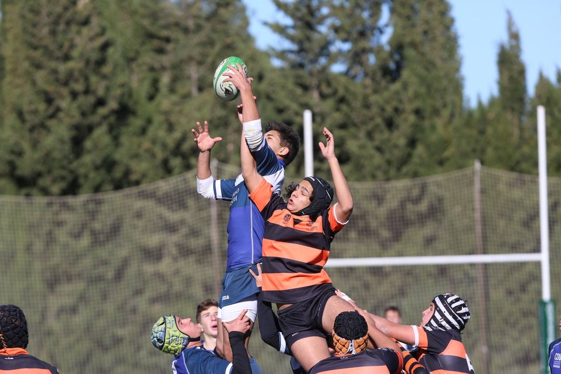 Barceló Montecastillo acoge el torneo &#039;No sin Rugby Fest 2017&#039;