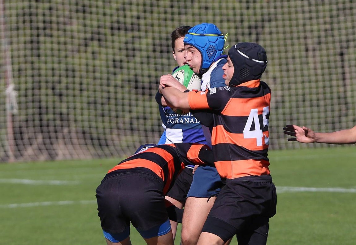 Barceló Montecastillo acoge el torneo &#039;No sin Rugby Fest 2017&#039;