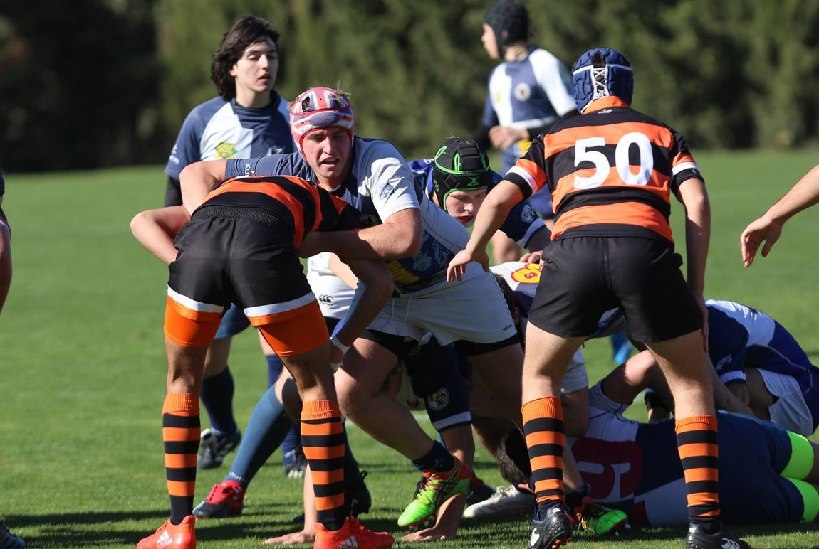 Barceló Montecastillo acoge el torneo &#039;No sin Rugby Fest 2017&#039;