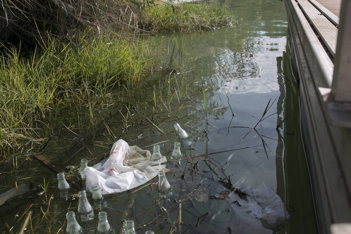 La triste estampa de los pantalanes del río