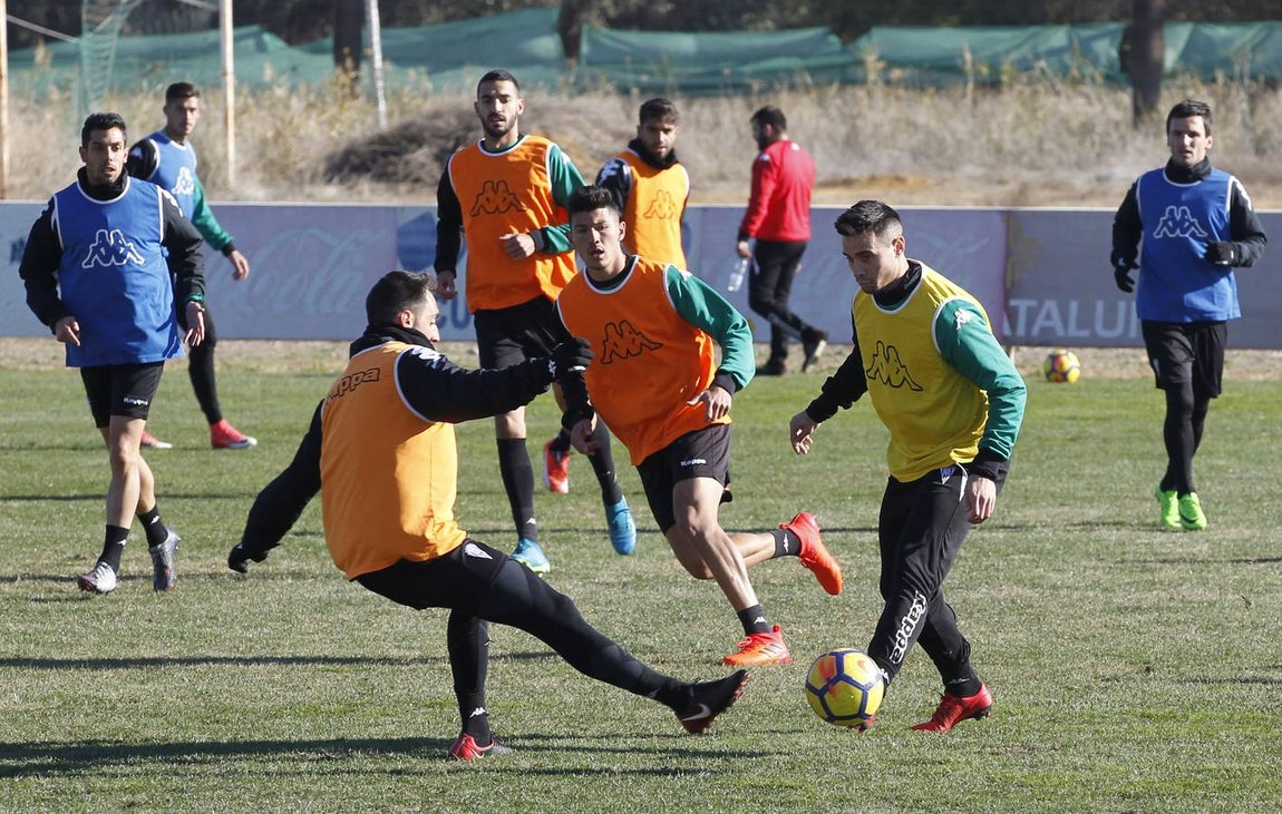 Imágenes del primer día de Jorge Romero como técnico del Córdoba CF