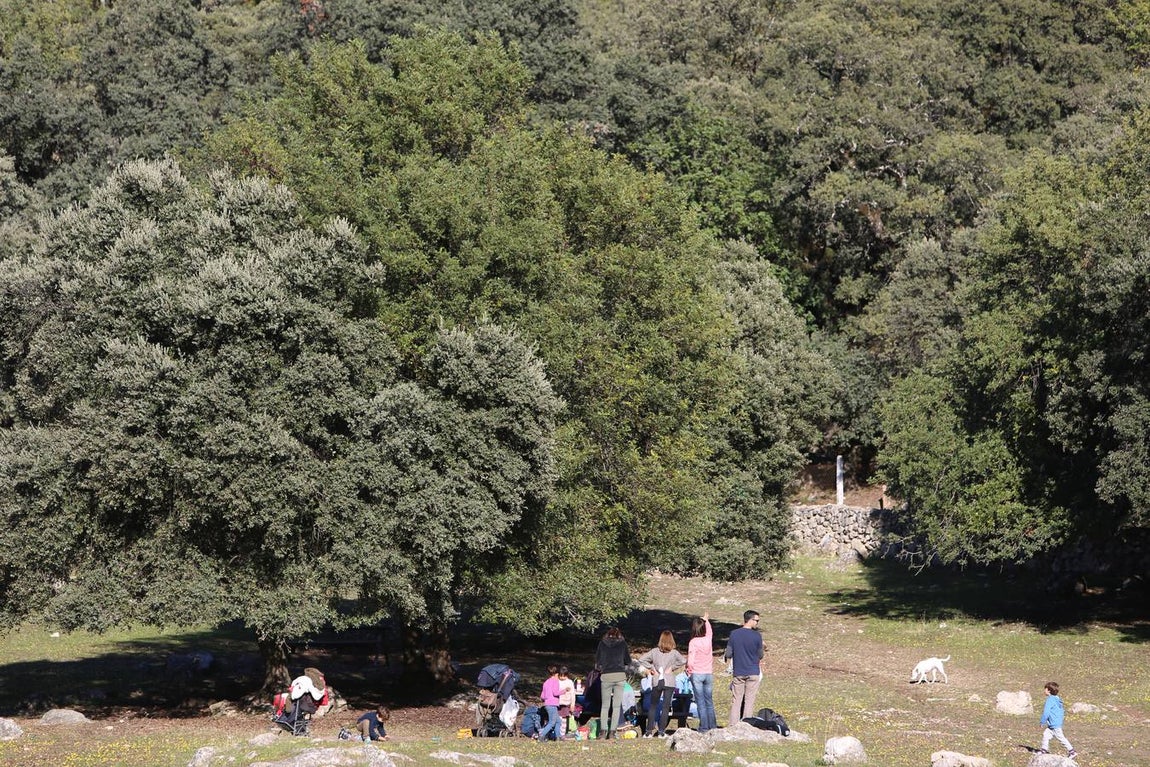 La Sierra de Cádiz cuelga el cartel de &#039;completo&#039; en este puente de la Inmaculada
