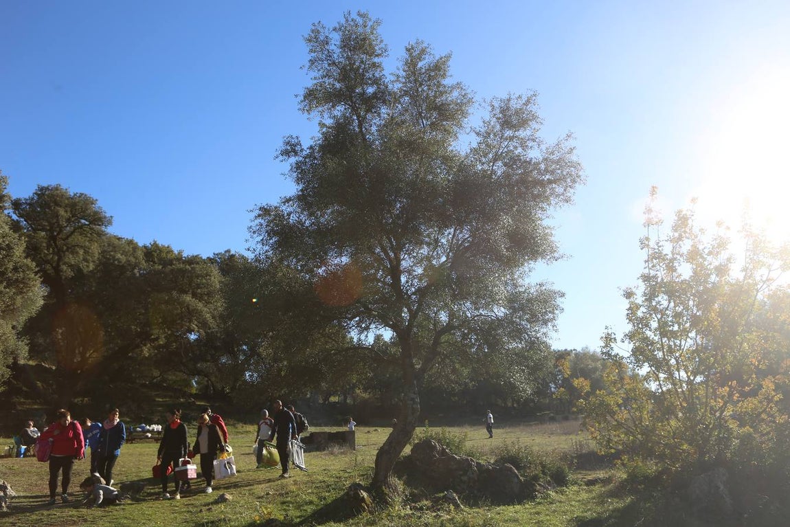 La Sierra de Cádiz cuelga el cartel de &#039;completo&#039; en este puente de la Inmaculada