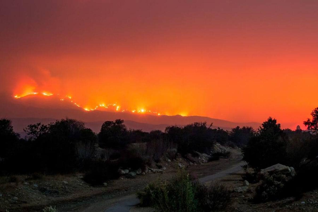 El fuego «Thomas» arde detrás de senderos en la carretera Old Baldwin, Ojai, California. 