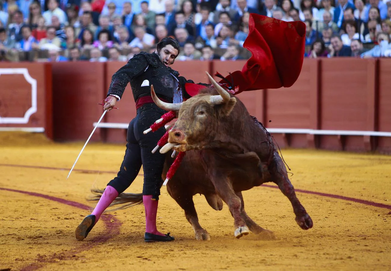 Las mejores imágenes de Sevilla de 2017, según Raúl Doblado