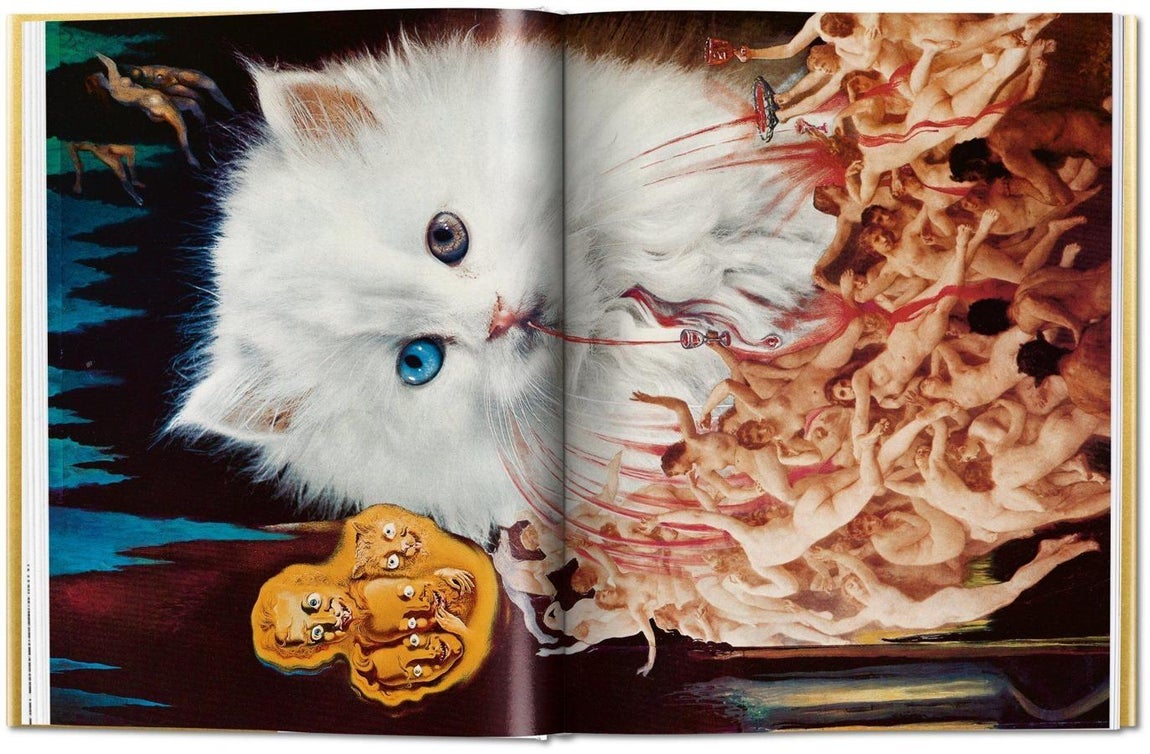 «Los vinos de Gala». 