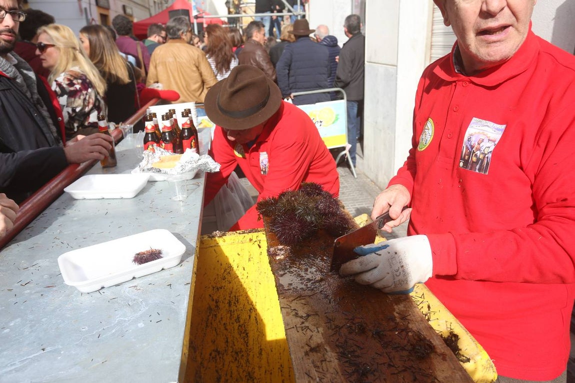 Fotos: Ambientazo en la Erizada más madrugadora de Cádiz