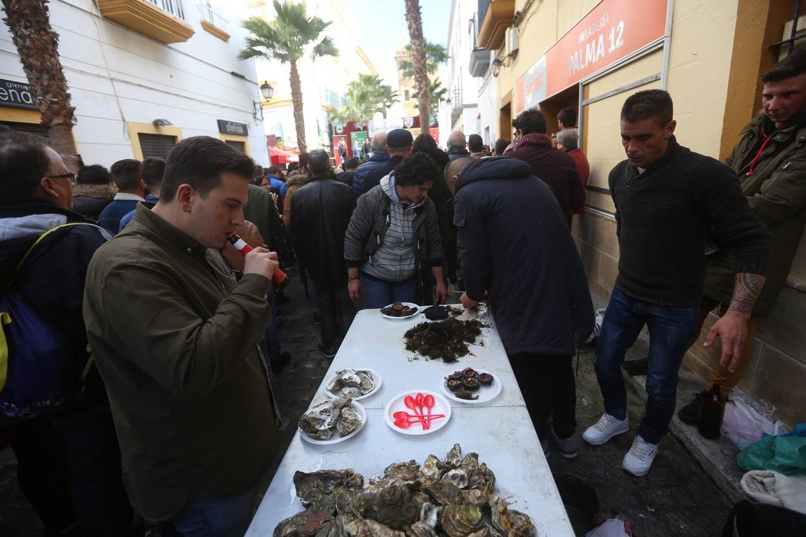 Fotos: Ambientazo en la Erizada más madrugadora de Cádiz