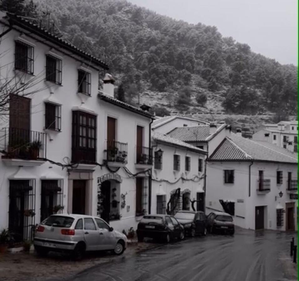 FOTOS: la nieve cubre la Sierra de Cádiz