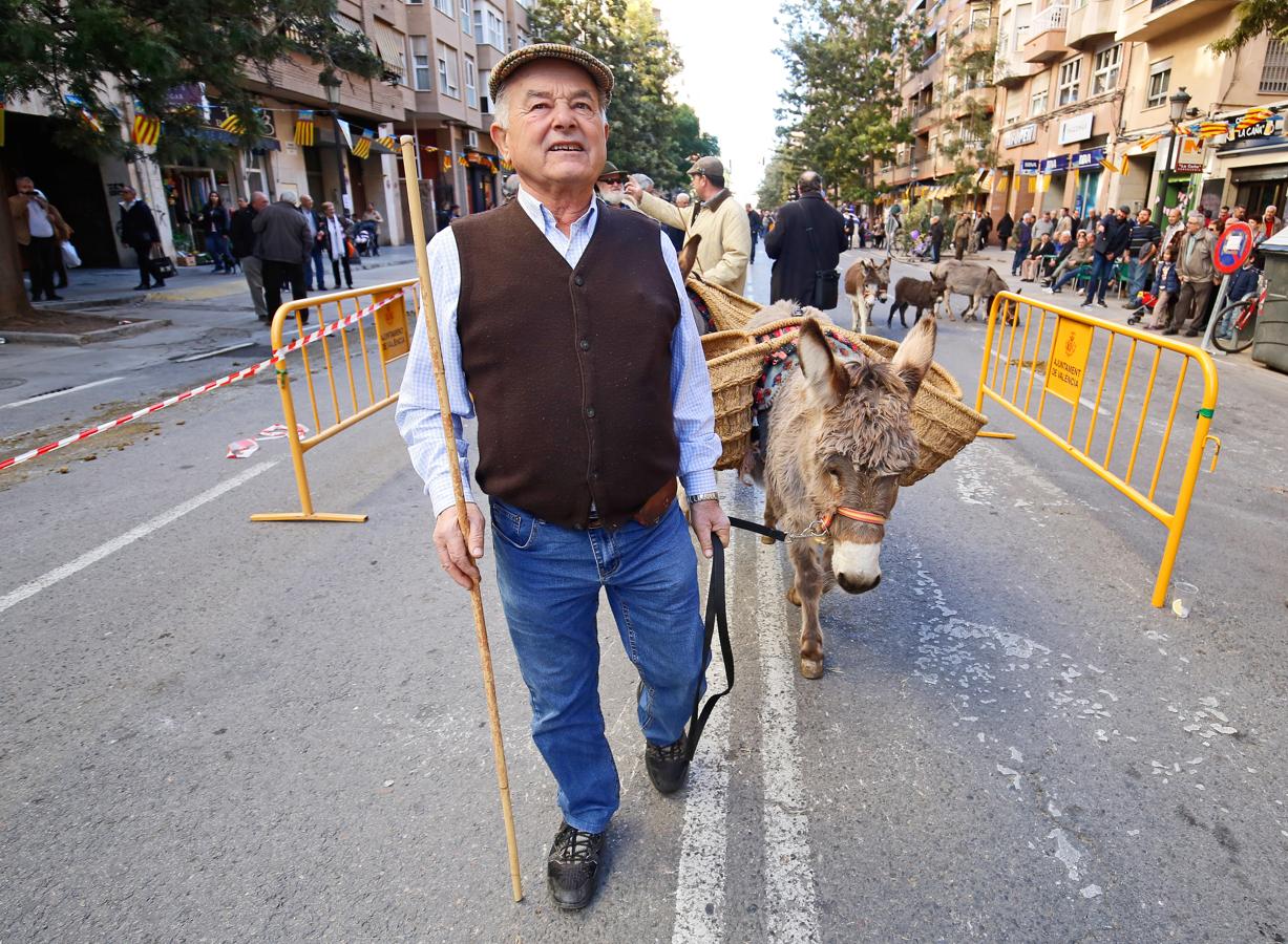 La bendición de animales por San Antonio Abad en Valencia, en imágenes. 