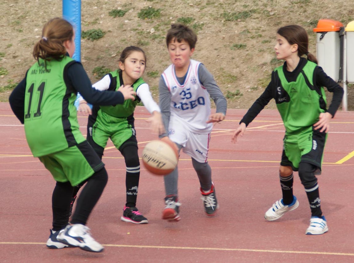 Las mejores imágenes del partido entre Liceo Francés y Virgen de Mirasierra “B”