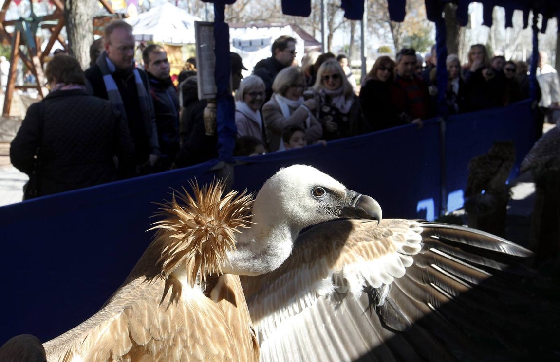 El Mercado Medieval de Córdoba de 2018, en imágenes