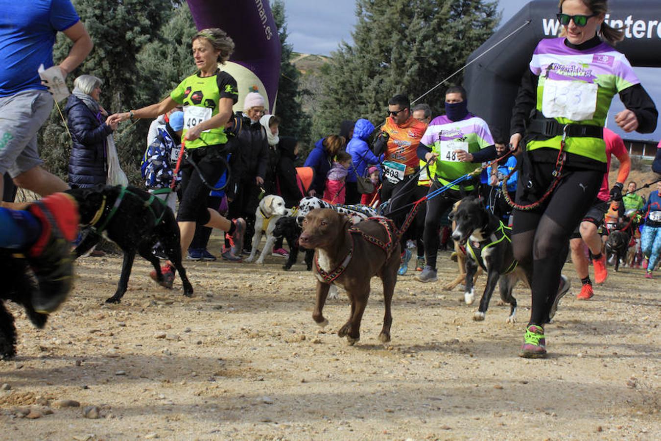 III Mushing Day «Ciudad de Toledo»