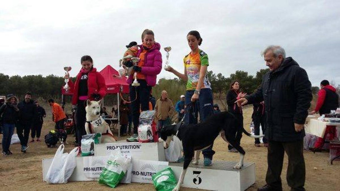 III Mushing Day «Ciudad de Toledo»