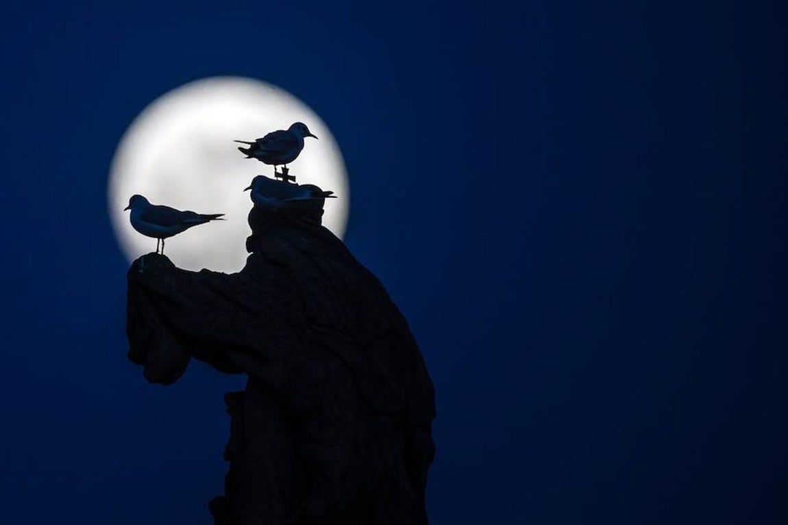 Las imágenes más impactantes de la superluna. Vista de la superluna desde la República Checa