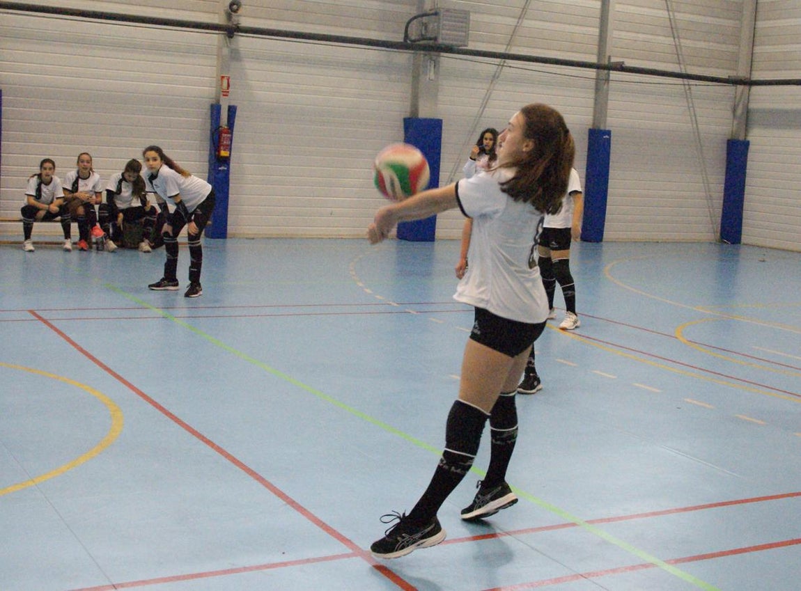 Las mejores imágenes del partido de voleibol que enfrentó al Antamira y al Irlandesas