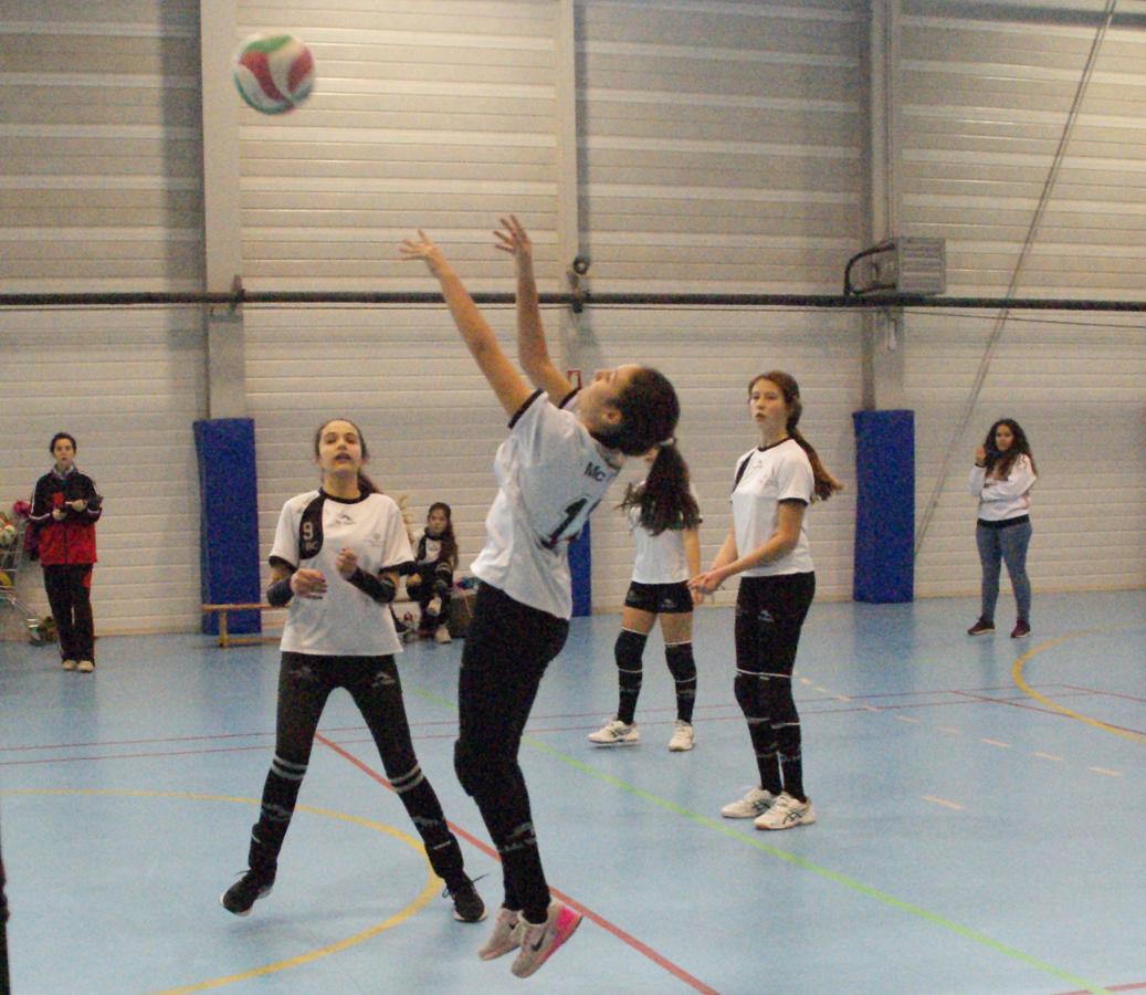 Las mejores imágenes del partido de voleibol que enfrentó al Antamira y al Irlandesas