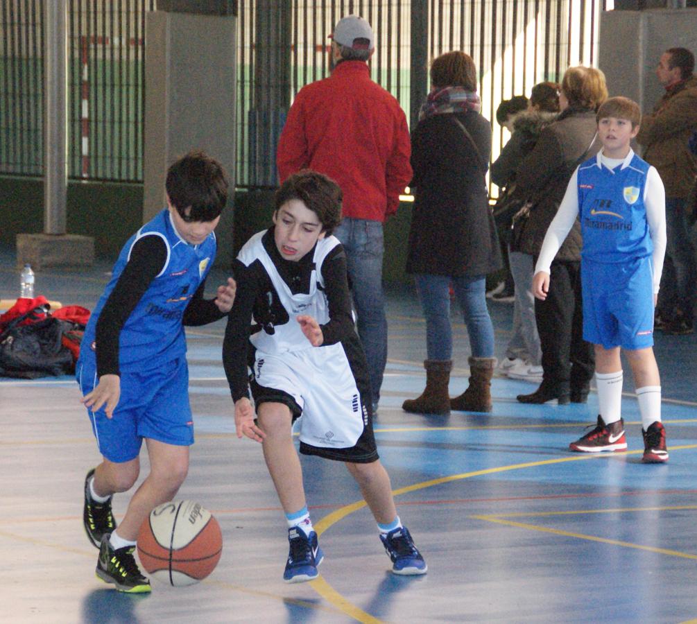 Las mejores imágenes del partido de baloncesto que enfrentó al San Agustín y al Miramadrid