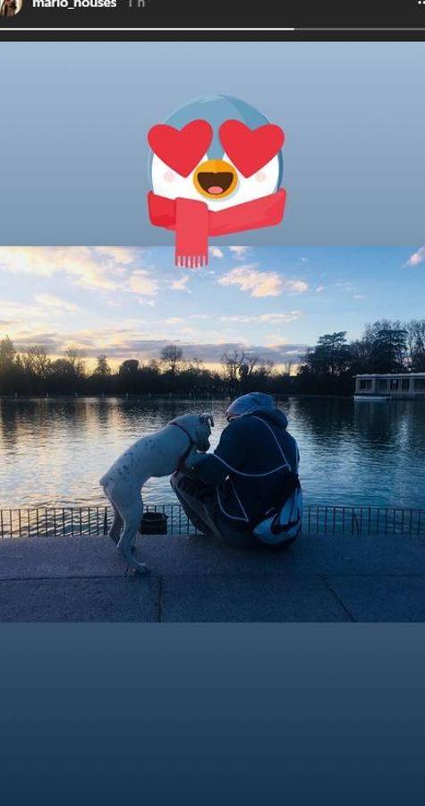 El frío no detiene a Mario Casas. El actor ha disfrutado de una tarde en el parque junto a su perro, pese al frío de estos días