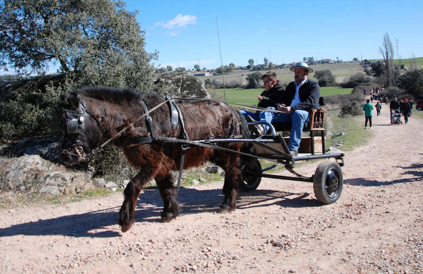 La romería de Santa Apolonia, en imágenes