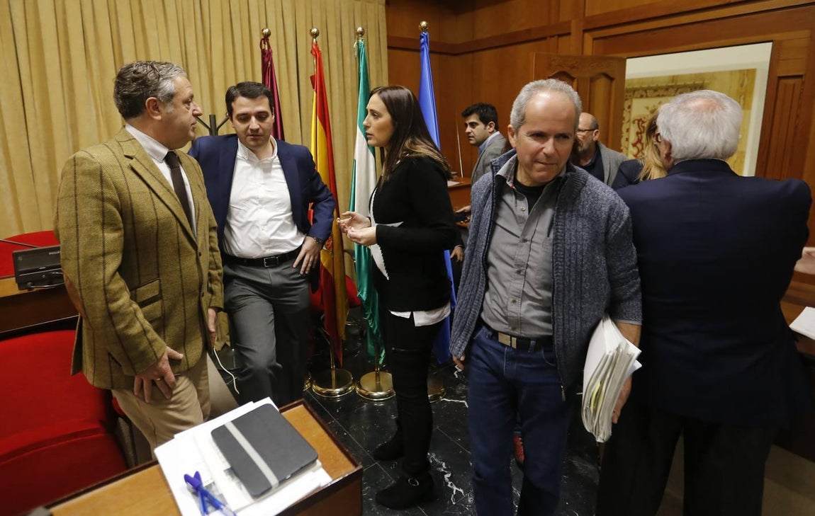 El Pleno sobre los cambios en el callejero de Córdoba, en imágenes