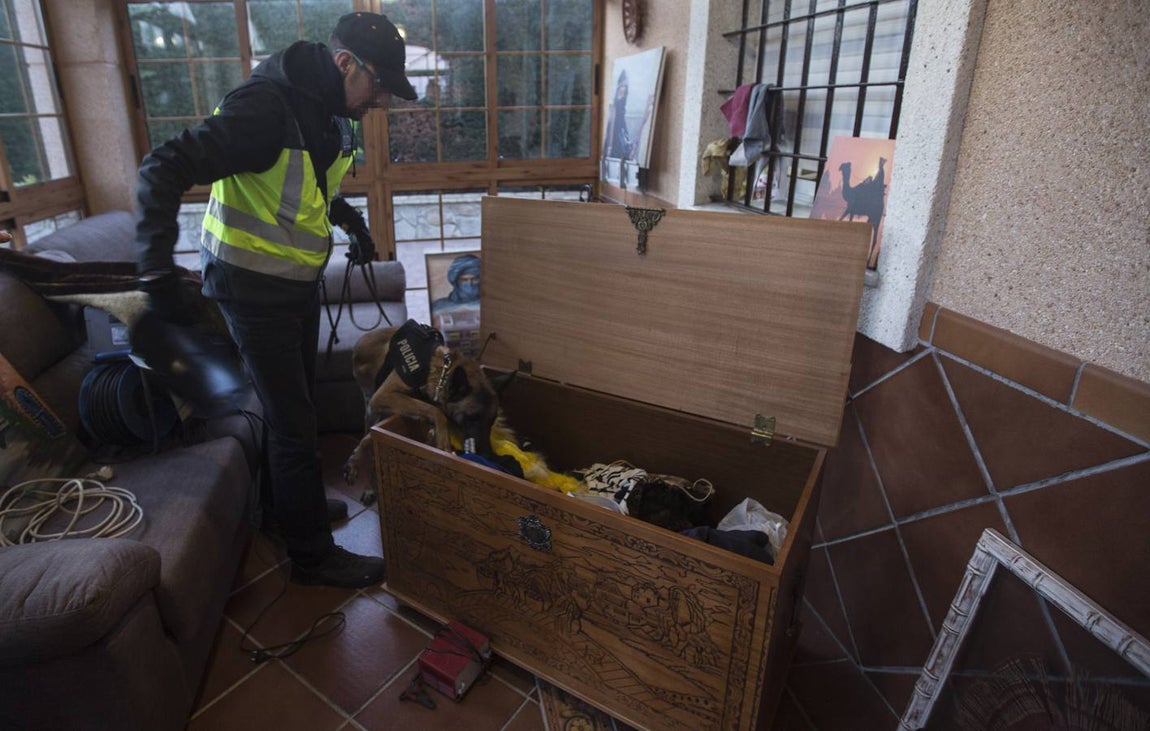 Las impactantes imágenes de la Operación Sahara