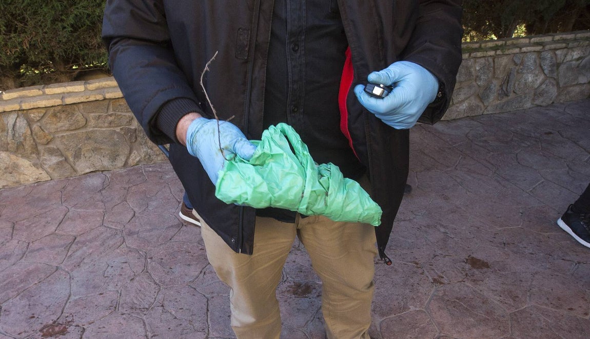 Las impactantes imágenes de la Operación Sahara