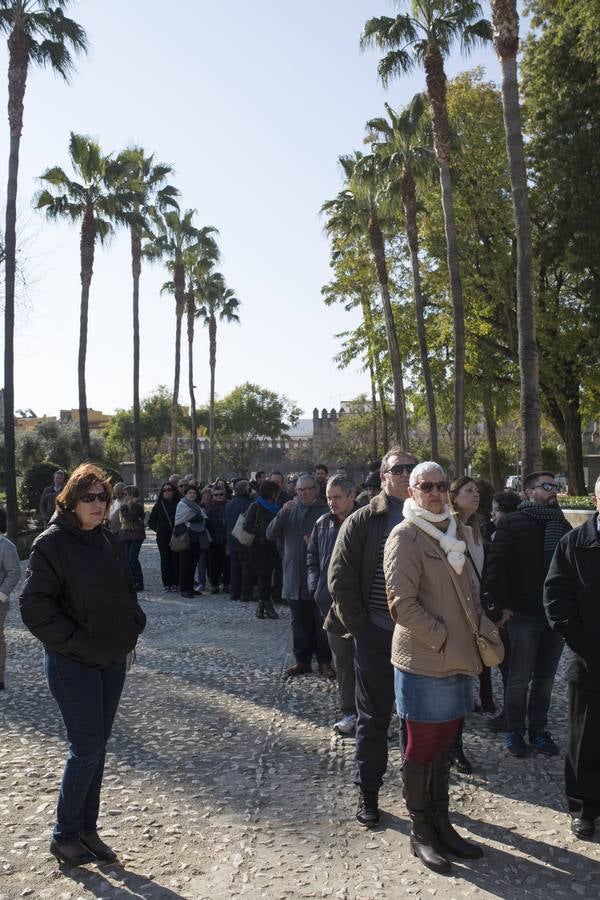 El Parlamento de Andalucía, abierto a todos