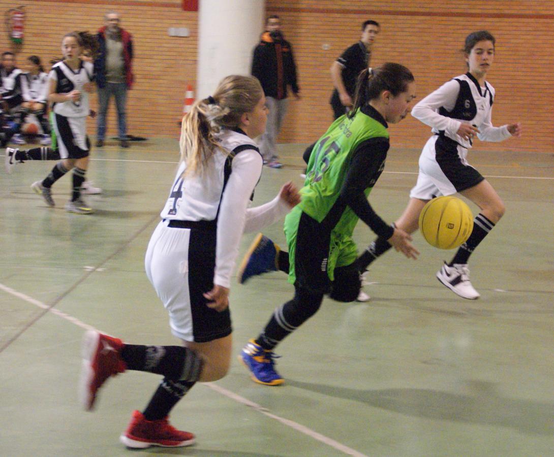 Las mejores imágenes del encuentro de baloncesto alevín femenino entre COIN &quot;A&quot; y Sagrada Familia Jorge Juan