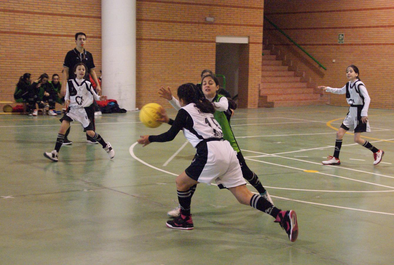 Las mejores imágenes del encuentro de baloncesto alevín femenino entre COIN &quot;A&quot; y Sagrada Familia Jorge Juan