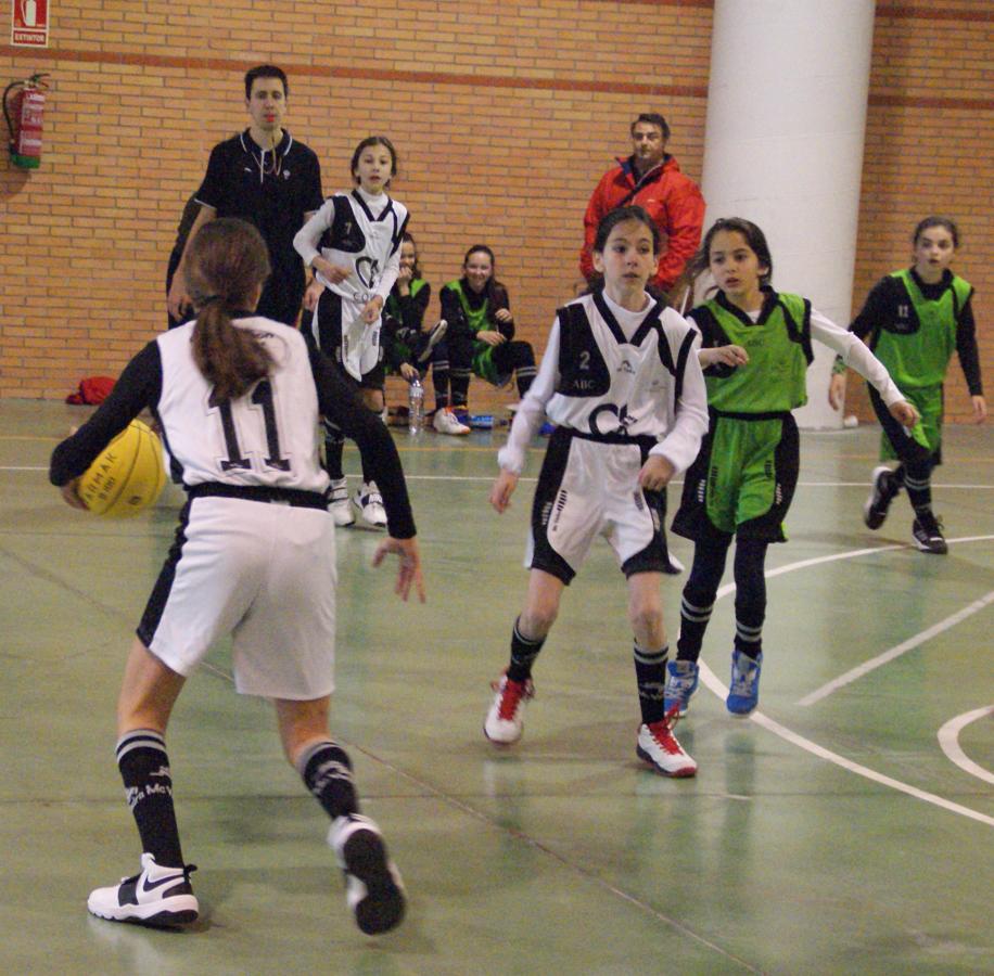 Las mejores imágenes del encuentro de baloncesto alevín femenino entre COIN &quot;A&quot; y Sagrada Familia Jorge Juan