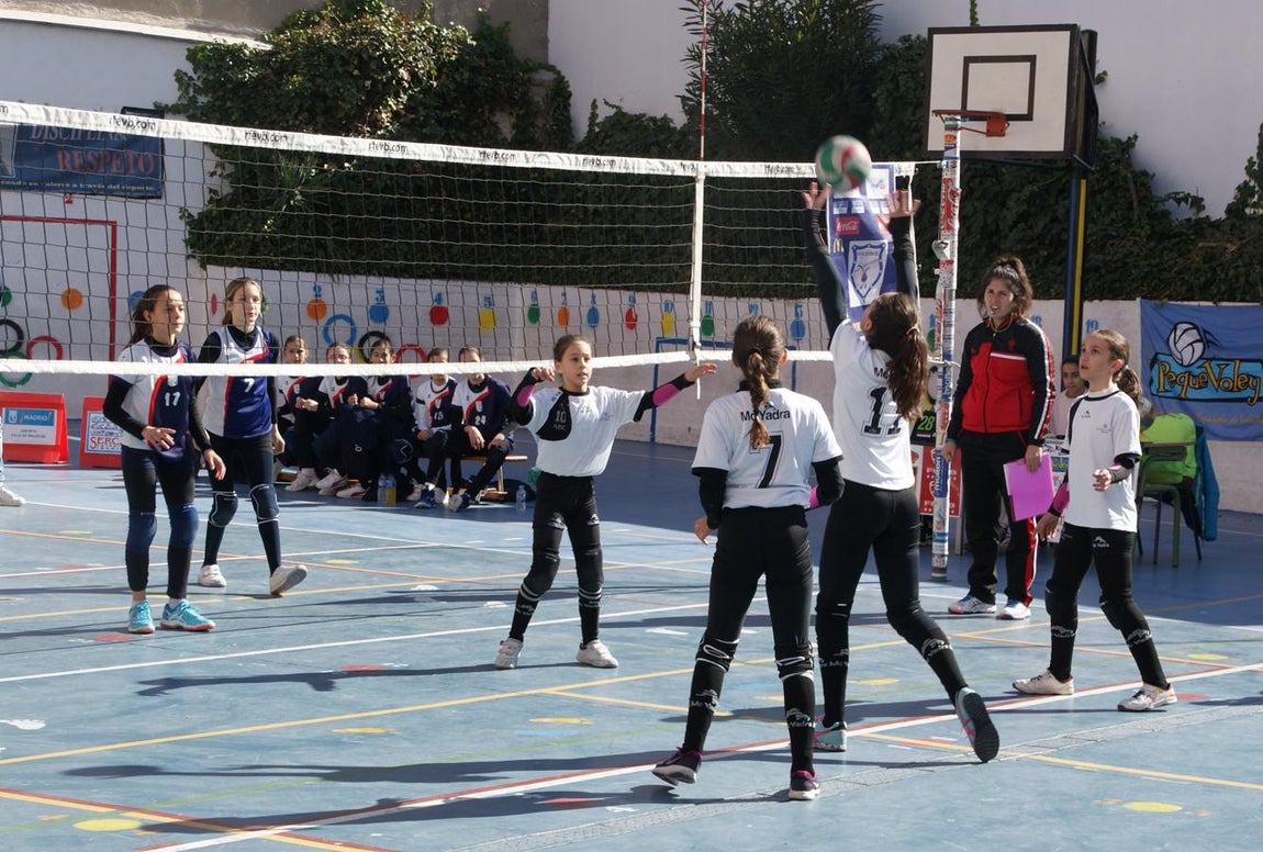 Las mejores imágenes del partido de voleibol alevín entre San Eulogio y Saint Louis des Français &quot;A&quot;