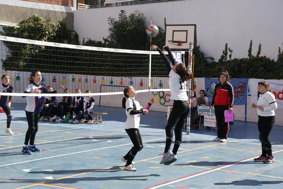 Las mejores imágenes del partido de voleibol alevín entre San Eulogio y Saint Louis des Français &quot;A&quot;