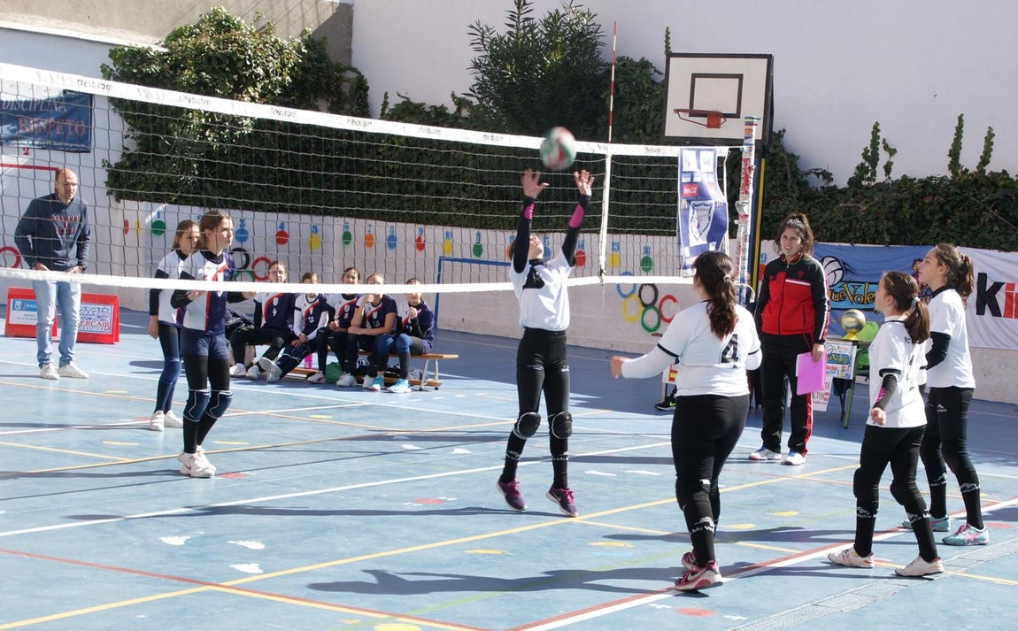 Las mejores imágenes del partido de voleibol alevín entre San Eulogio y Saint Louis des Français &quot;A&quot;