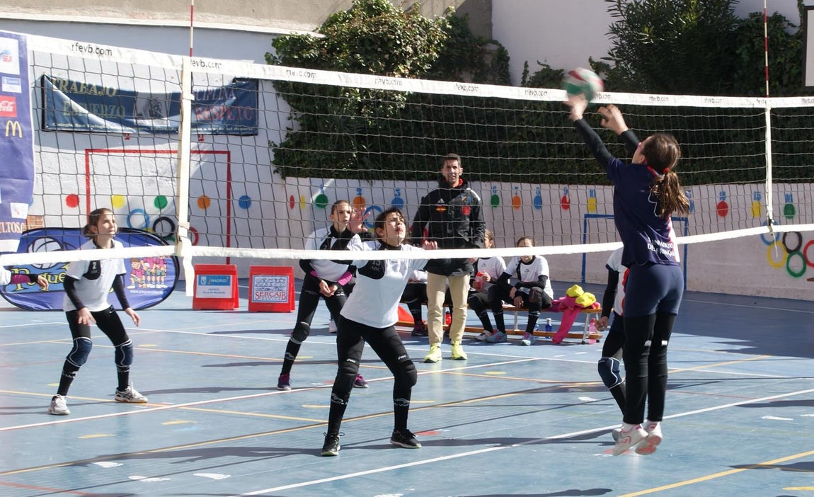 Las mejores imágenes del partido de voleibol alevín entre San Eulogio y Saint Louis des Français &quot;A&quot;