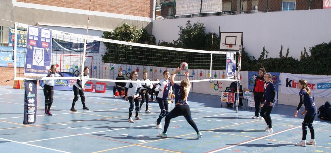 Las mejores imágenes del partido de voleibol alevín entre San Eulogio y Saint Louis des Français &quot;A&quot;