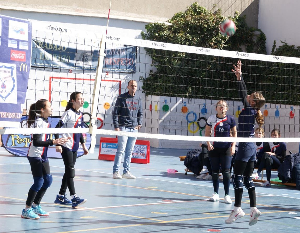 Las mejores imágenes del partido de voleibol alevín entre San Eulogio y Saint Louis des Français &quot;A&quot;