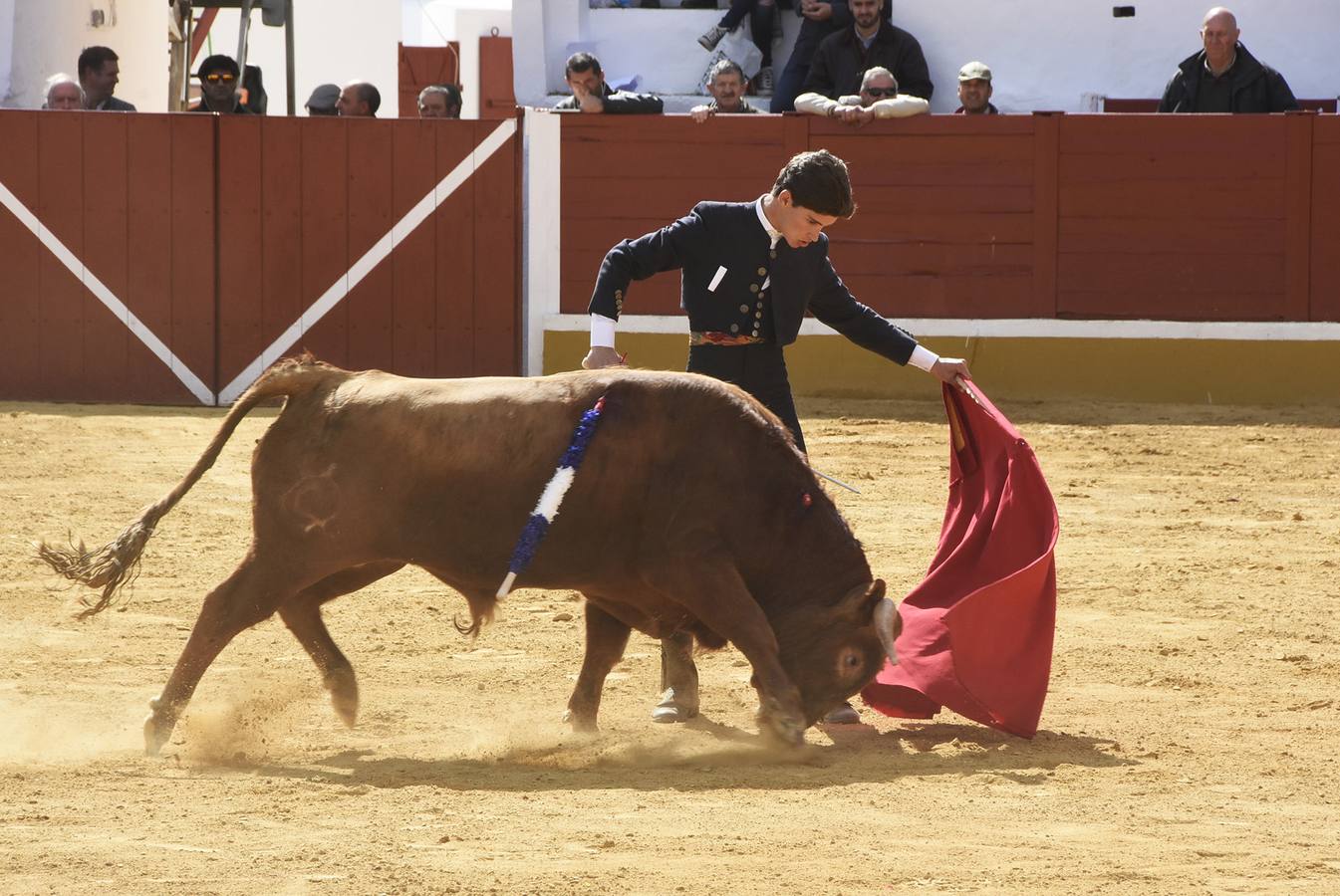El festival taurino de Aracena, en imágenes